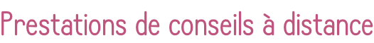 Prestations de conseils à distance